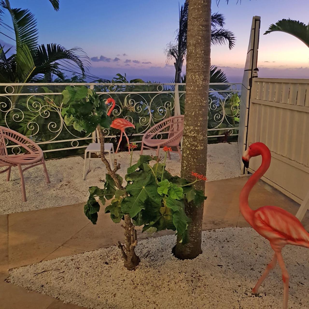 La Boheme, Residence De 5 Appartements Avec Piscine, Vue Ocean, Petite Ile Экстерьер фото